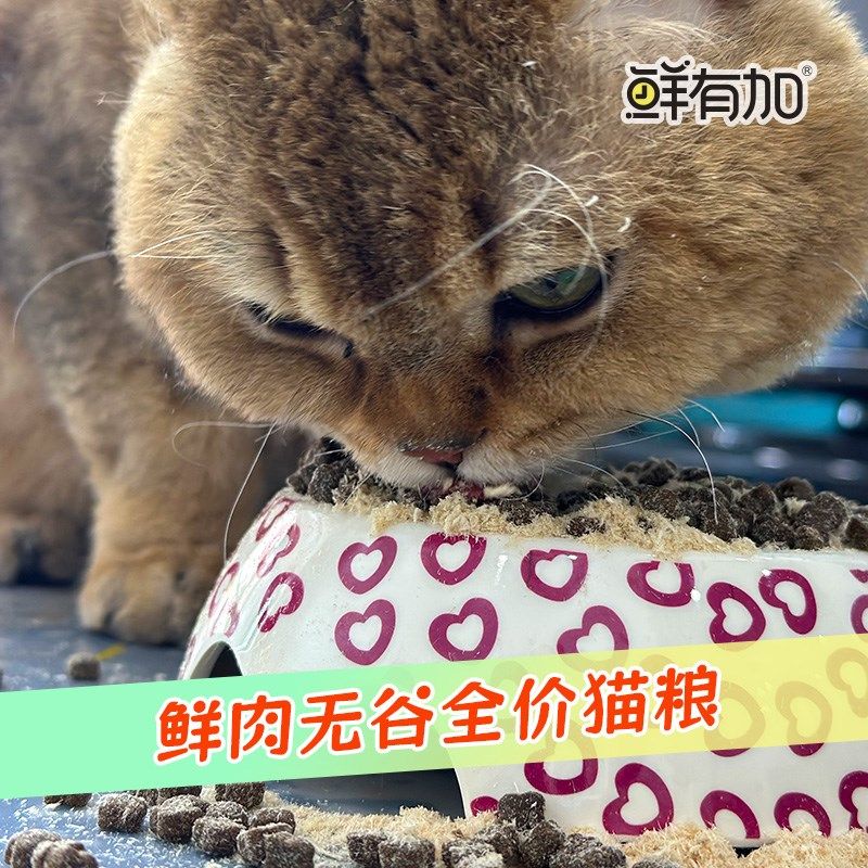 鲜有加无谷鲜肉猫粮冻干鸡肉松肉绒益生菌增肥发腮全价小颗粒低盐