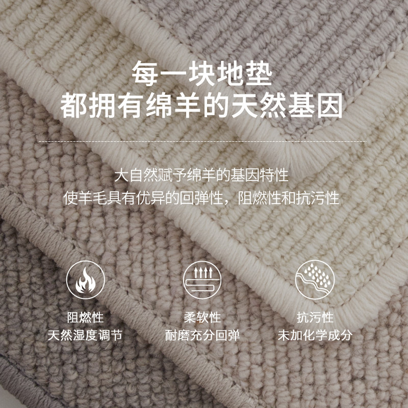 纯羊毛高级地毯地垫进门脚垫入户门玄关门垫浴室门口防滑入门垫子
