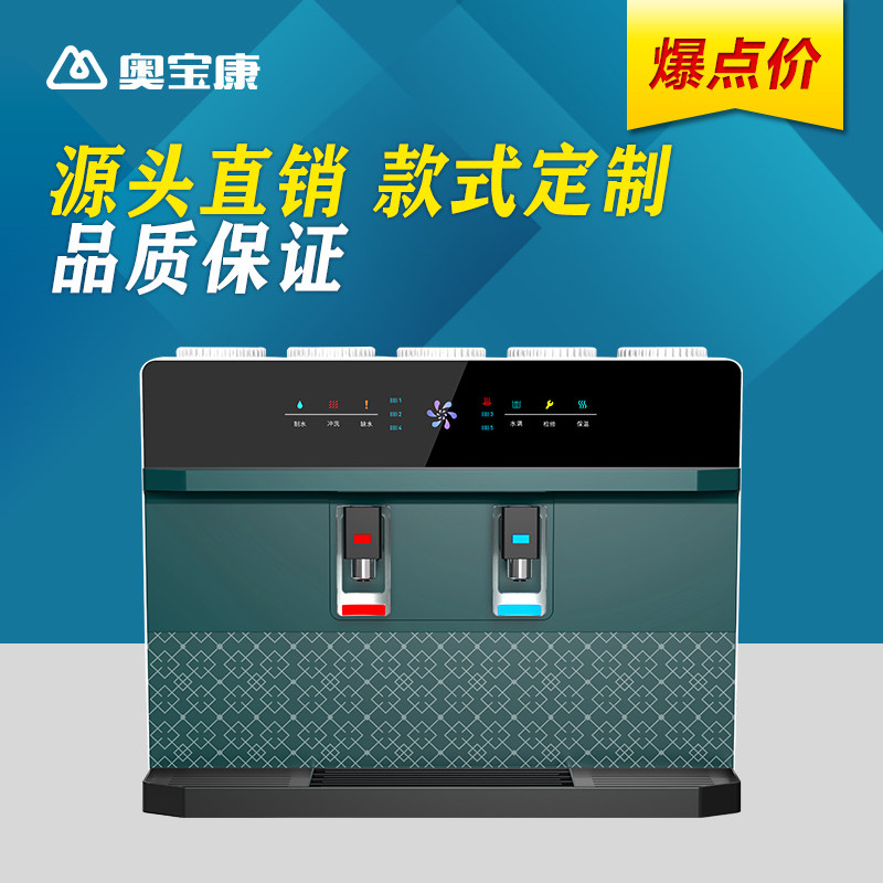 直饮冷热双饮净水器直饮加热一体机RO反渗透壁挂台式速热饮水家用