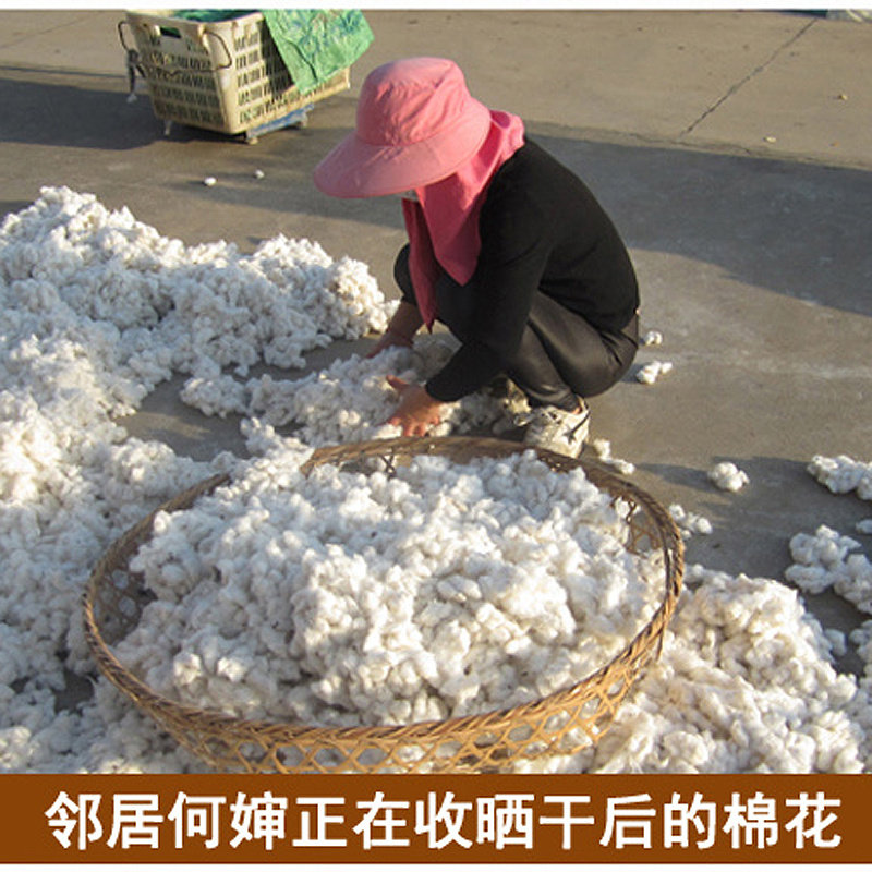 纯棉花被子手工棉被春秋全棉胎被芯垫被棉絮床垫10斤加厚保暖冬被