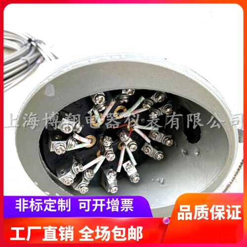 上海博翔 供应多点铠装热电偶 WRNK6-131 高温K型热电偶