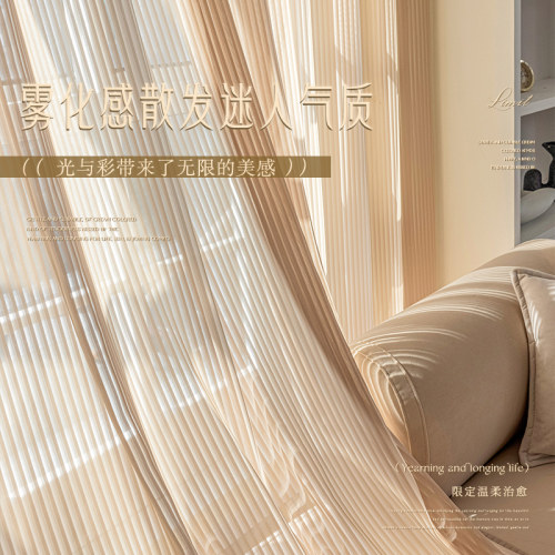 竖百叶纱帘窗帘网红梦幻帘透光不透人2023新款飘窗白色纱阳台窗纱