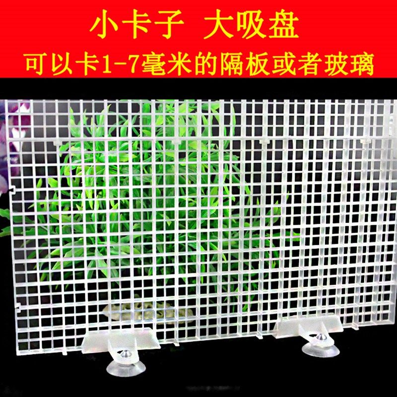 鱼缸隔离板卡子吸盘固定玻璃隔断夹子亚克力阻拦板水族箱配件底滤图片