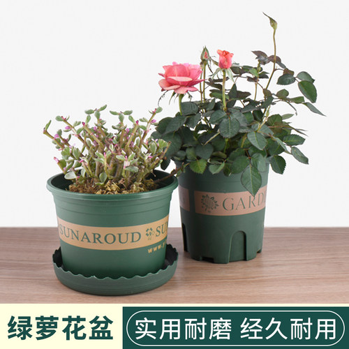 花盆/加仑A1zoq001-塑料花盆矮胖加仑绿萝月季多肉加厚透气控根