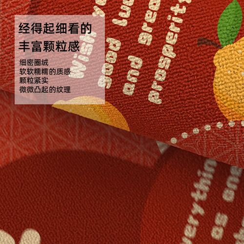 红色入户门地垫进门门口地毯新年玄关蹭土脚垫换鞋耐脏免洗可裁剪