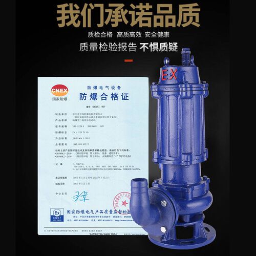 厂家直销BQW防爆潜水排污泵ex标潜污220v三相加油站化工排水矿用