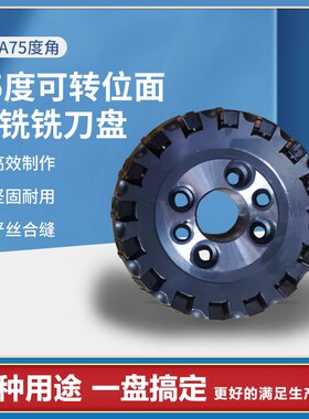 常州密齿型铣刀盘MMA-80 100 125 160 200 250 315 350 多齿刀盘