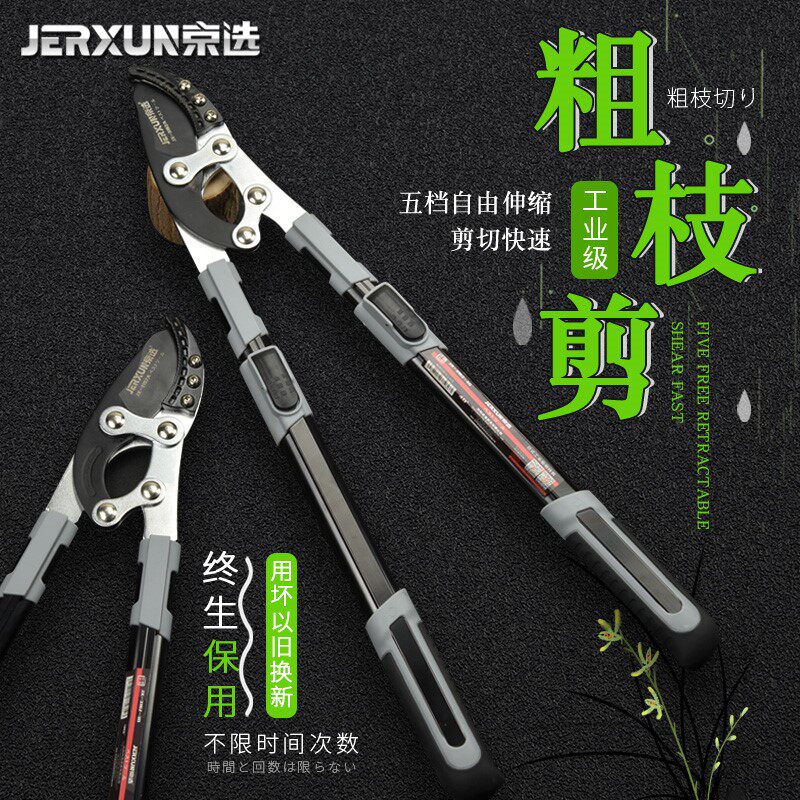 京选伸缩粗枝剪修枝剪树枝园林剪刀果树修剪省力高枝高空剪枝剪刀