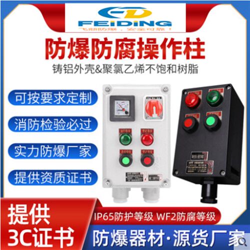 防爆防腐控制箱远程就地操作柱电流电压仪表BXK805三防按钮开关箱