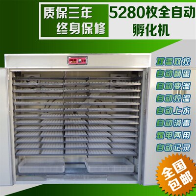 智能孵化机全自动家用型孵化器1232鸡苗孵蛋箱抱小鸡机器孵蛋厂家