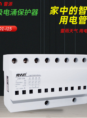 上海雷源一级浪涌电涌保护器电源防雷LYD1-I15避雷器SPD吸收器4P