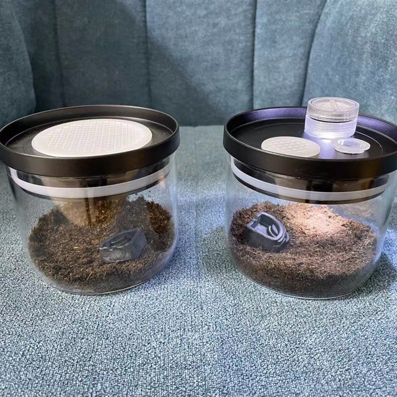 跳蛛盒蝈蝈笼子油葫芦蛐蛐电报蛉盒子竹蛉蝎子蜈蚣蜘蛛盒鸣虫叫罐