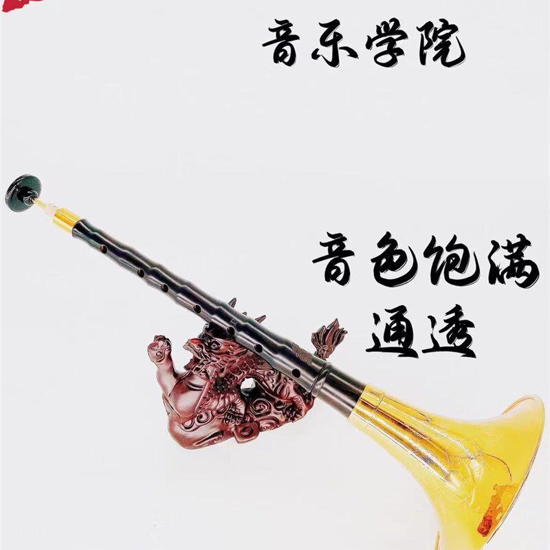 黑檀木唢呐专业演奏级唢呐东方伟乐音乐学院全套初学者大小乐器