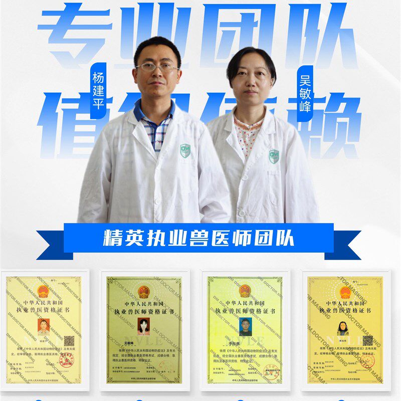 马师皇宫脓清宠物子宫蓄脓狗狗恶露不尽产后不适老年积液托毒排脓
