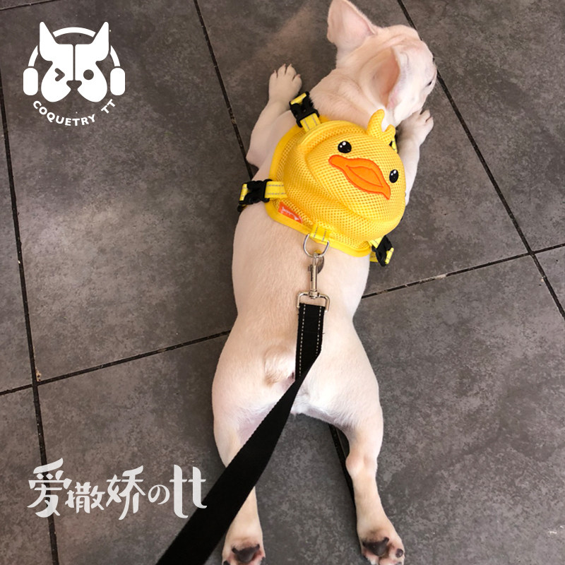 TT狗狗背包自背泰迪法斗小书包牵引绳背心式背带外出宠物胸背包