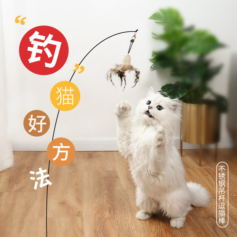 逗猫棒耐咬带铃铛羽毛自嗨宠物猫咪玩具钢丝超长杆喵咪用品成幼猫图片