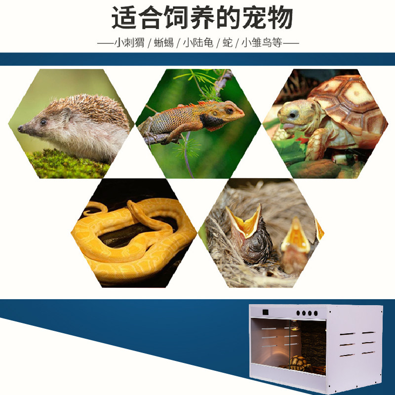 pvc爬宠饲养箱恒温乌龟加温箱爬虫箱鬃狮蜥陆龟饲养箱智能温控箱