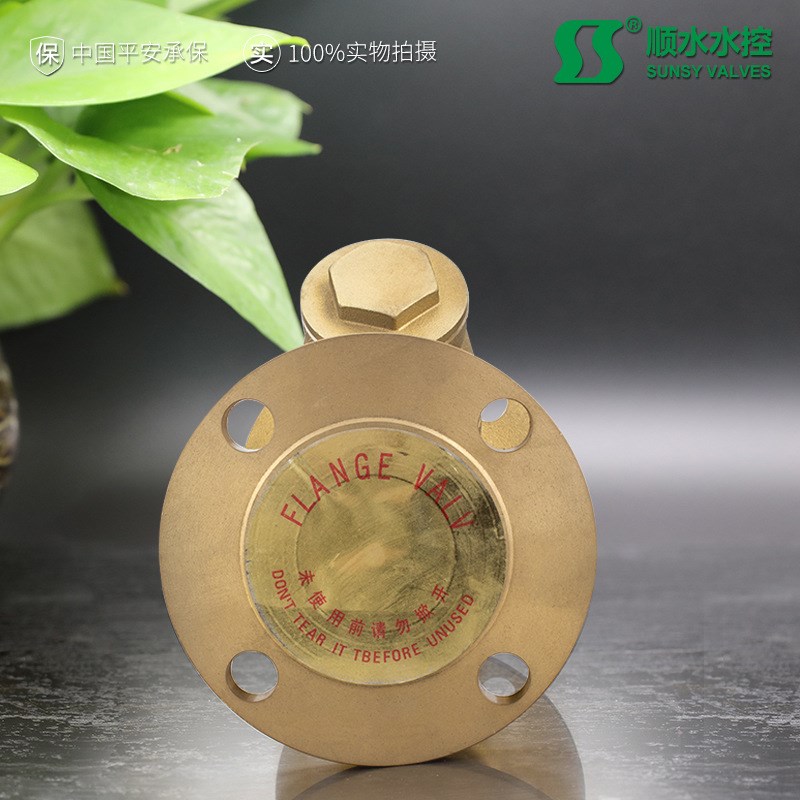 黄铜GL41W-16T水工业Y型铜阀黄铜法兰过滤器DN32 125 150排污阀