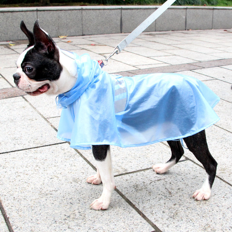 狗狗雨衣宠物透气防水雨披轻薄防晒衣大中小型犬带帽半透明雨衣
