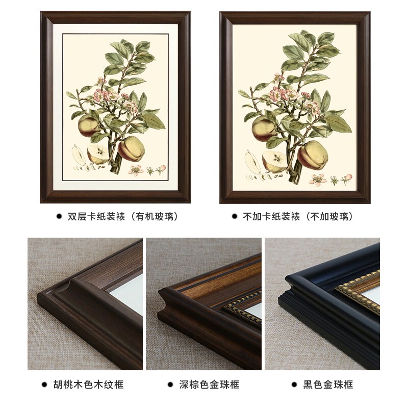 网红美式乡村田园挂画客厅沙发背景墙装饰画餐厅玄关壁画果实卧室