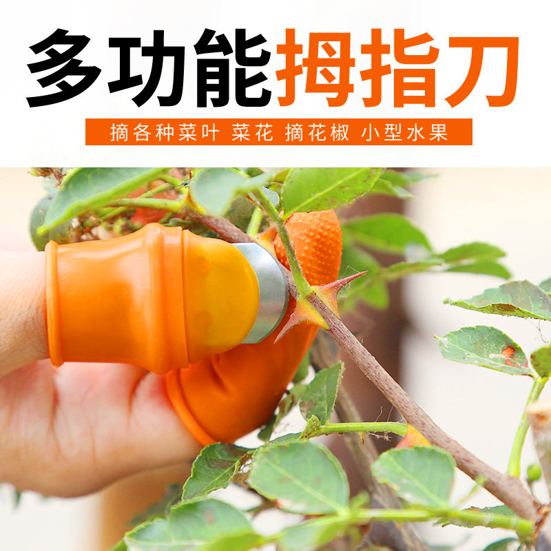 采摘花椒神器茶农采茶拇指刀农用摘豆角神器多功能掐剪农作物指刀