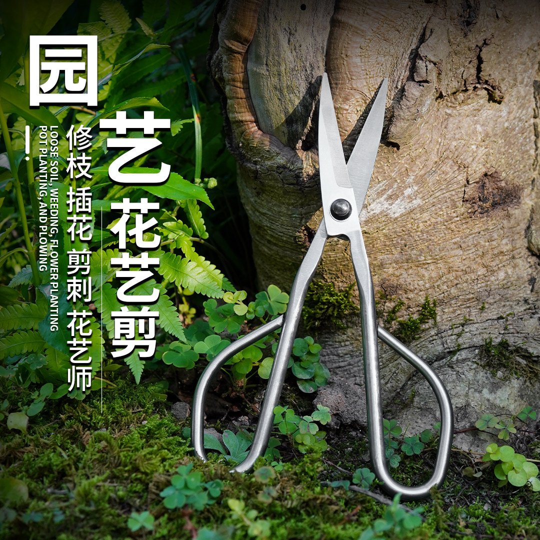 小巧匠不锈钢盆栽剪刀修枝剪花艺细枝长杆盆景剪造型园林专用剪子图片