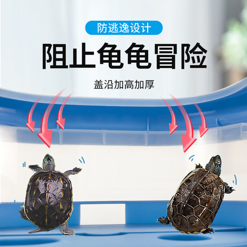 乌带晒台造别墅饲养箱生态龟箱生态瓶鱼缸乌龟饲养缸专用箱养龟