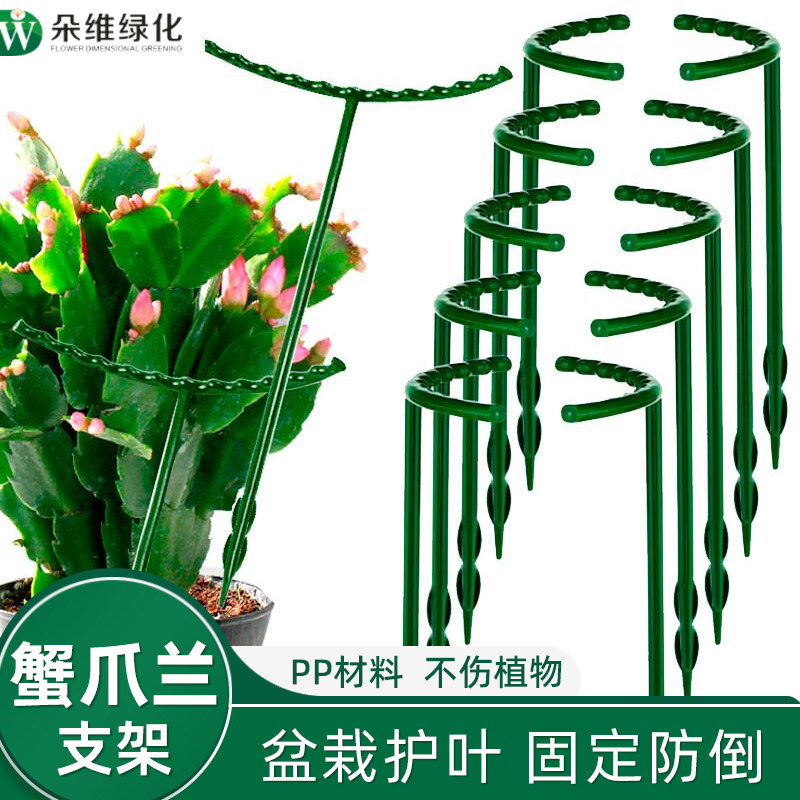 蟹爪兰支架固定架撑杆花架植物花防倒伏支撑杆盆栽专用花卉盆架子图片