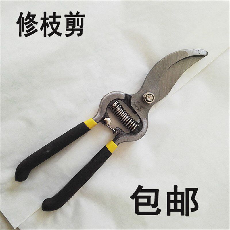 葡萄剪枝园艺花枝剪树枝修枝剪刀果树剪刀粗枝剪果枝剪工具包邮