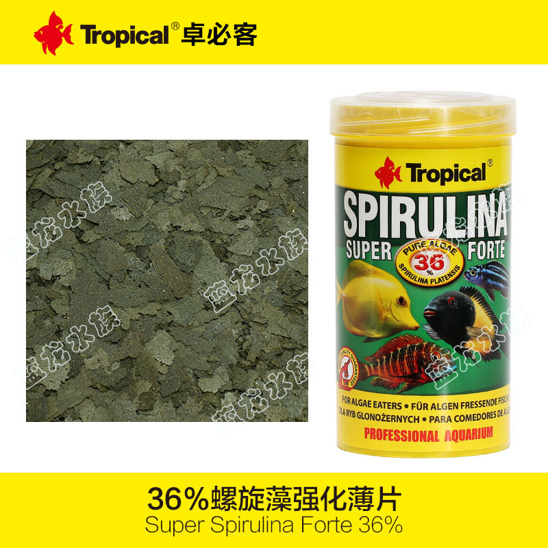 波兰卓必客36%螺旋藻薄片贴片三湖慈鲷蝴蝶岩栖吊类素食饲料鱼粮