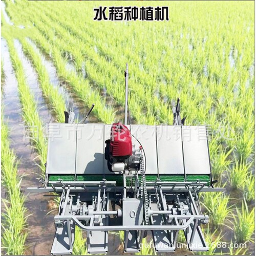 轻巧型四行六行水稻插秧机 不伤秧苗种植机 手拉式汽油动力插秧机
