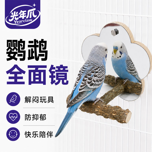 鹦鹉镜子花椒木站架玩具小站台