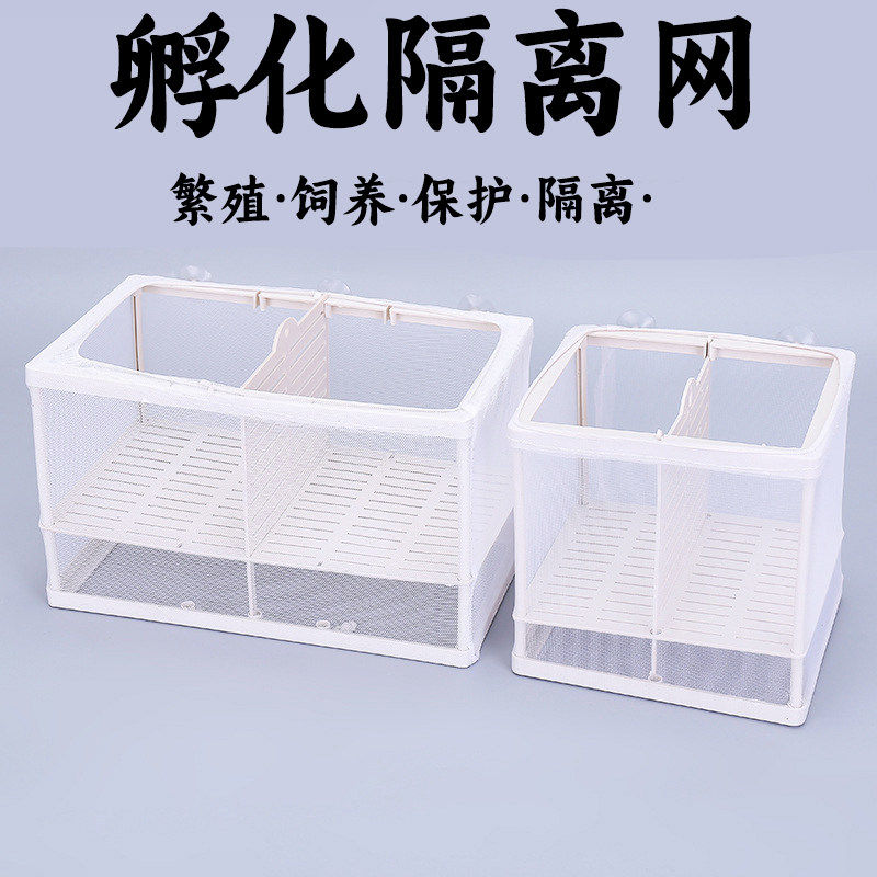 鱼缸隔离网隔离盒缸内小鱼繁殖图片