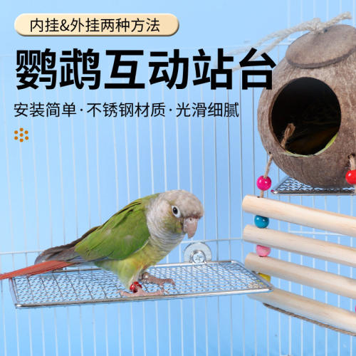 鹦鹉不锈钢站台休息跳台攀爬网架