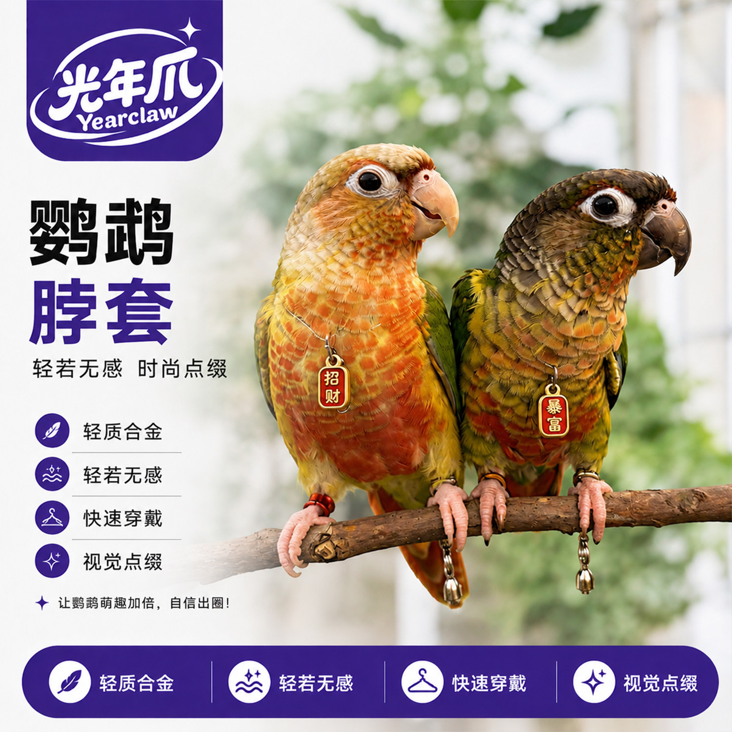 鹦鹉脖套链子鸟脖圈放飞绳吊坠外出带牵引绳小太阳牡丹玄凤鸟专用