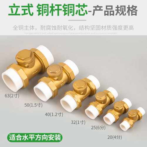 PPR黄铜卧立式热熔止回阀4/6分/1寸PE卧式双活接止回阀水管单向阀