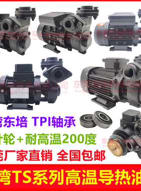 TS-63/71台湾款热油泵模温机热油循环泵耐高温200C油泵导热油泵