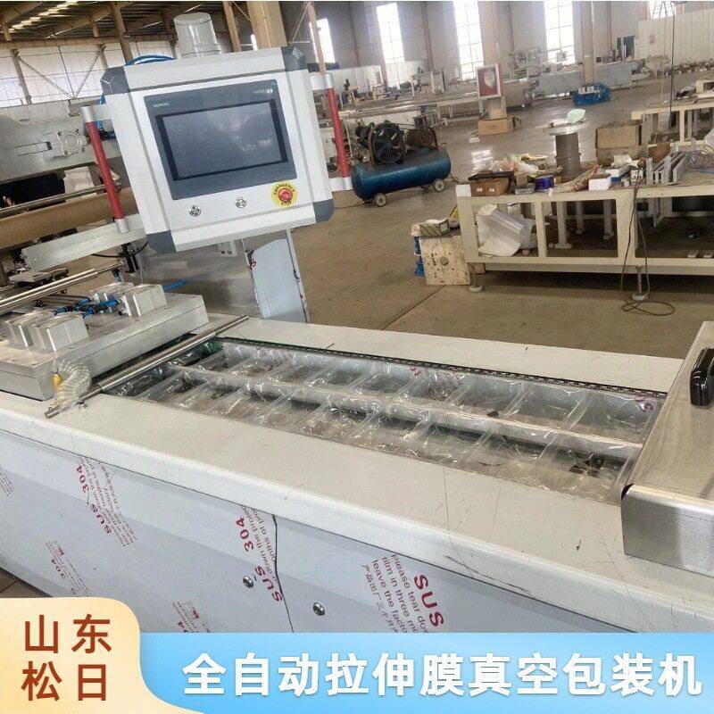 速冻榴莲肉拉伸膜真空包装机椰果肉菠萝蜜肉大型连续真空包装机