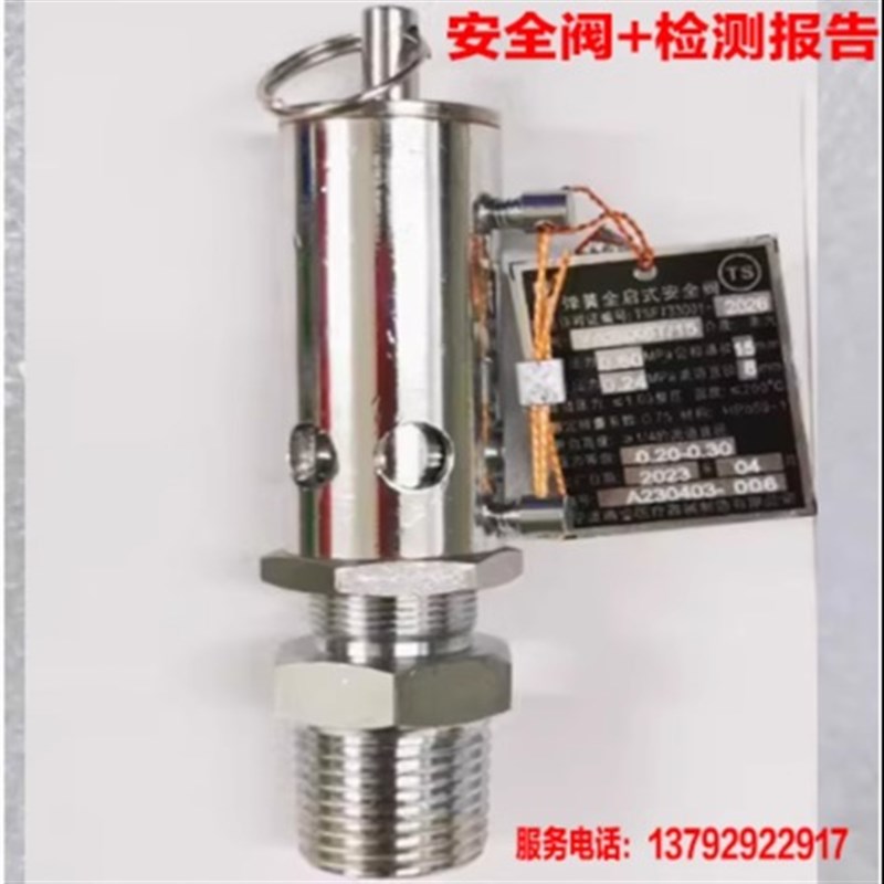 高压灭菌锅灭菌器全启式安全阀自动排气阀放气阀压力蒸汽消毒锅