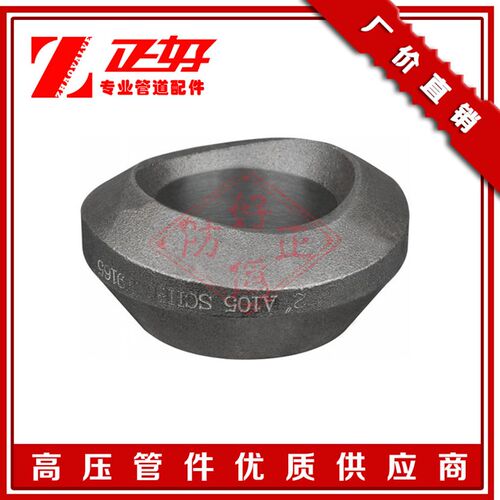 碳钢A105锻压制对焊接支管台 模锻20#支管座3000LB支管座高压管件