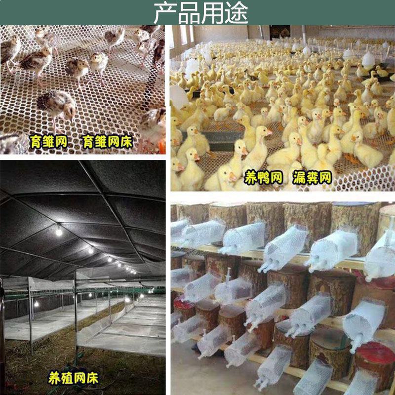 塑料平网养殖网漏粪网片防护网床脚垫围栏鹅鸡鸭网育雏网格网网蜂