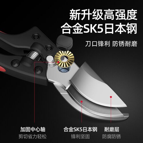 园林剪刀修枝剪修花剪园艺剪树枝剪粗枝果树盆景强力花艺打理工具