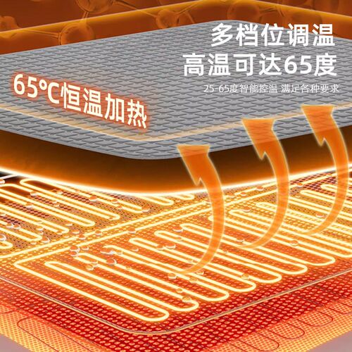 新款智能恒温水暖循环毯电热毯双人冬季电褥子水暖床垫家用水暖毯