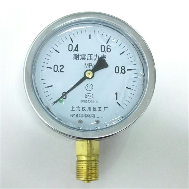 耐震压力表 上海仪川仪表厂 ytn-100 0-1mpa 直径100mm m20x1.5