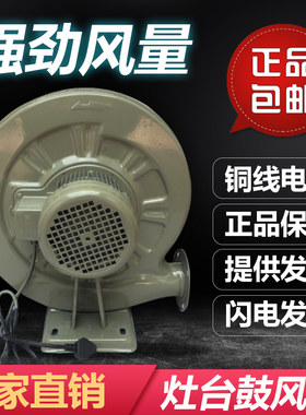 永强牌灶台鼓风机 离心式中压低噪音吹风机550W 铜芯电机厨房风机