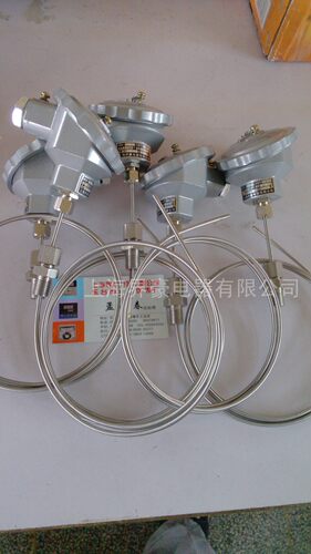 铠装 热电阻 热电偶 WZPK-131/331  Pt100 Pt1000 双支4/6芯定制