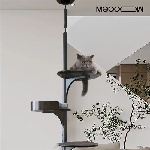 实木猫爬架高层通天柱不占地meoooow顶天立地猫爬架猫窝猫跳台
