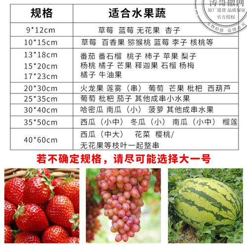 果树防虫网袋防鸟纱网袋保护套葡萄袋无花果番套袋桃子套袋西瓜套