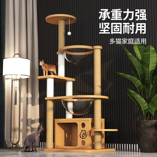 猫爬架猫窝太空舱猫树一体猫抓板抓柱多猫实木不占地小型逗猫架子