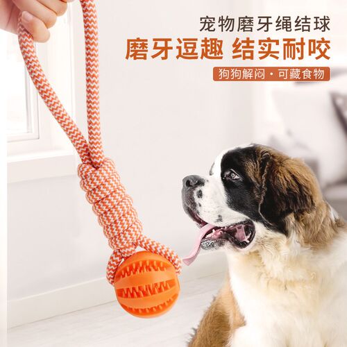 狗狗玩具漏食球耐咬磨牙棒穿绳咬绳拉布拉多边牧泰迪金毛互动拔河